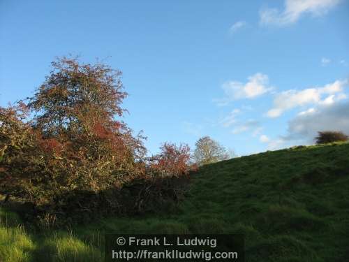 Around Lough Arrow